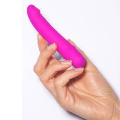 Chim giả giá rẻ mini Pretty Love Beck 2