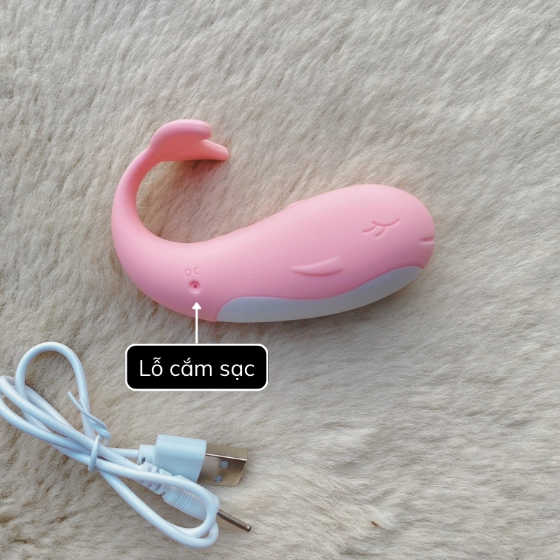trung-rung-ca-voi-Little-Whale-4 Trứng rung tình yêu cá voi Little Whale 3